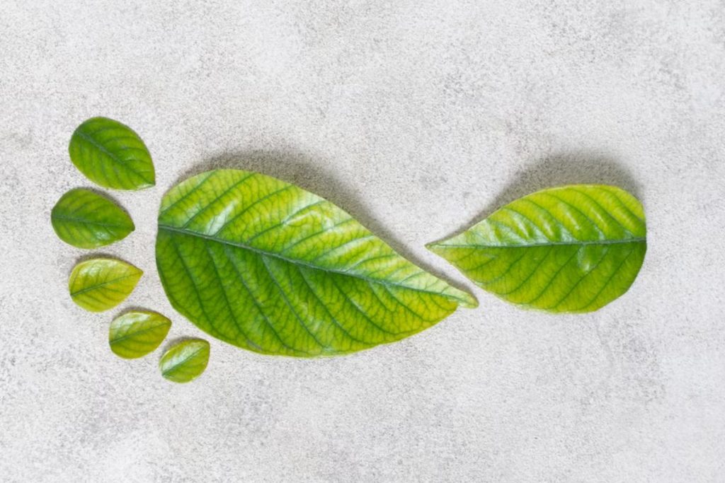 energy transition (cover)