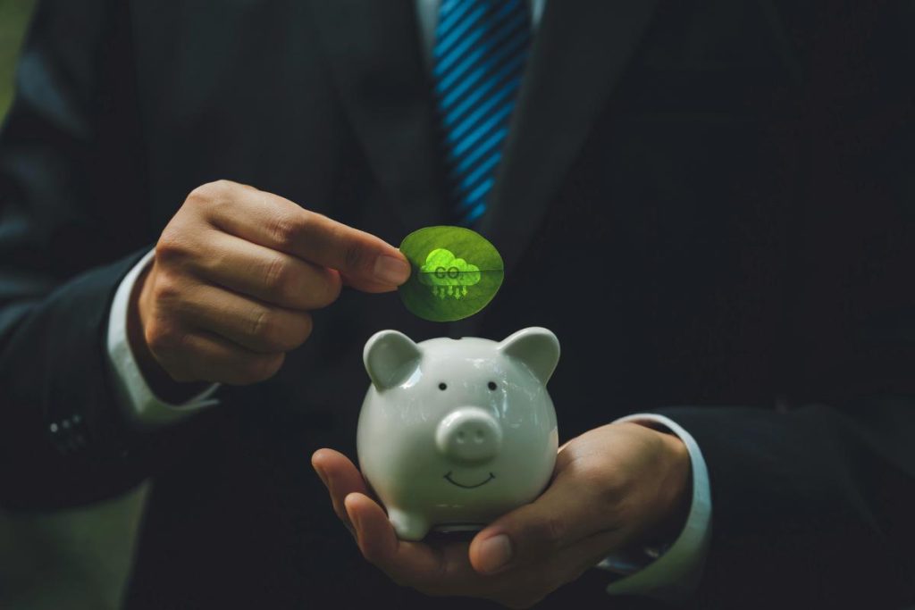 credito de carbono (capa)